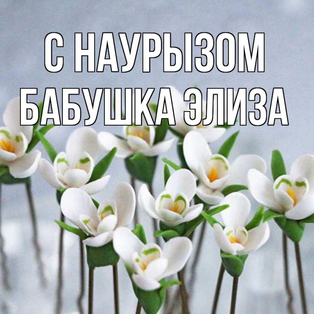 Открытка на каждый день с именем, Бабушка-Элиза С наурызом весенние цветы Прикольная открытка с пожеланием онлайн скачать бесплатно 
