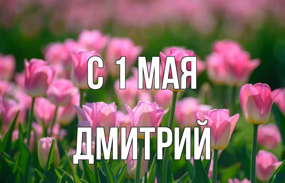 Открытка на каждый день с именем, Дмитрий С 1 мая С 1 мая Прикольная открытка с пожеланием онлайн скачать бесплатно 