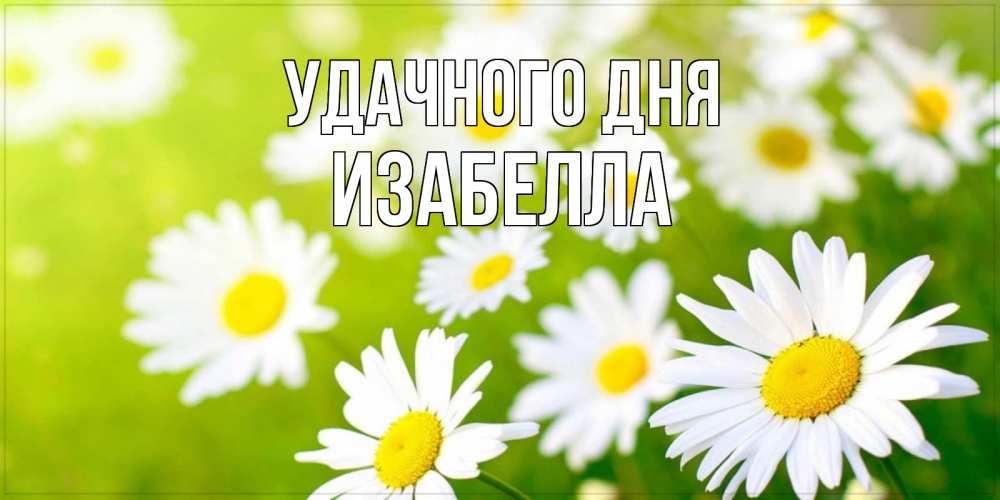 Открытка на каждый день с именем, Изабелла Удачного дня открытка с ромашками на зеленом фоне Прикольная открытка с пожеланием онлайн скачать бесплатно 