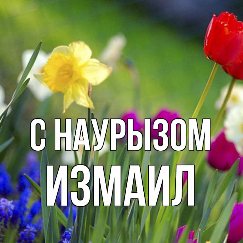 Открытка на каждый день с именем, Измаил С наурызом праздник весны наурыз 3 Прикольная открытка с пожеланием онлайн скачать бесплатно 