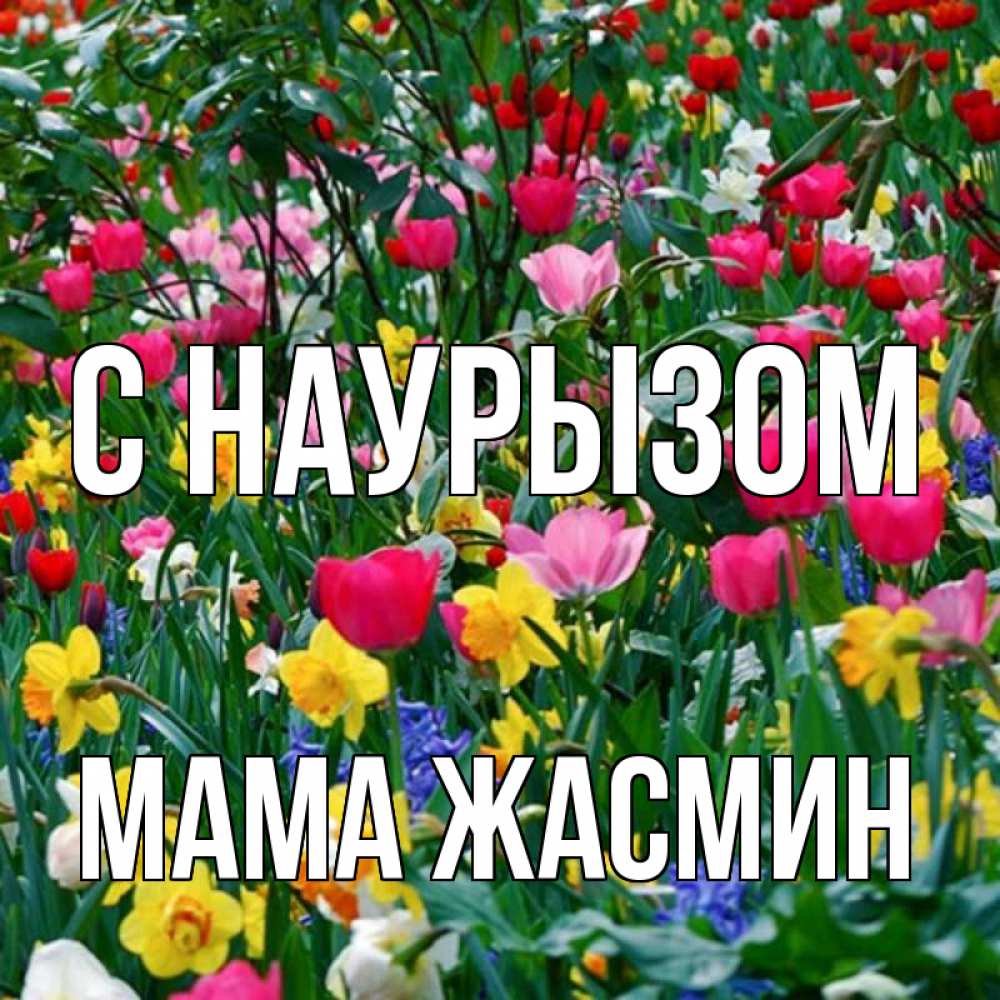 Открытка на каждый день с именем, Мама-Жасмин С наурызом с наурызом праздником весны поздравления для женщины Прикольная открытка с пожеланием онлайн скачать бесплатно 