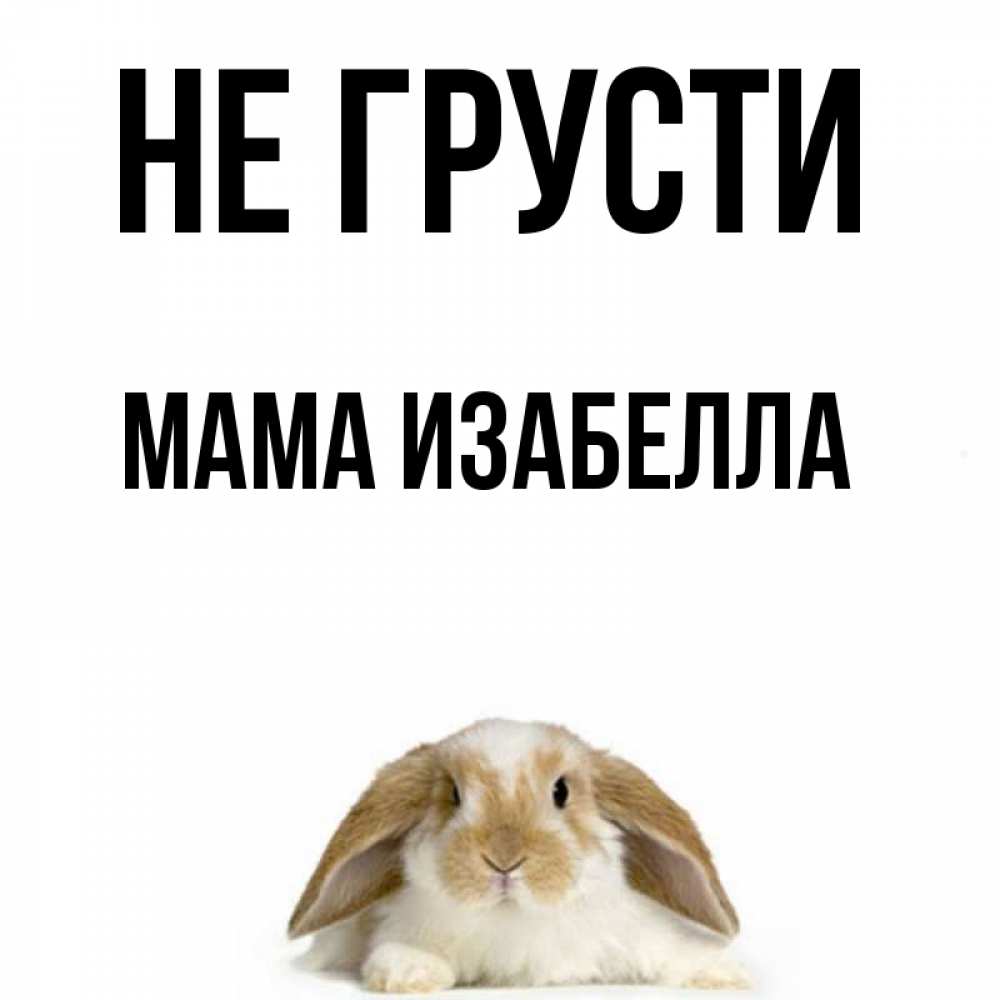 Открытка на каждый день с именем, Мама-Изабелла Не грусти коричнево белый заяц с большими ушками Прикольная открытка с пожеланием онлайн скачать бесплатно 