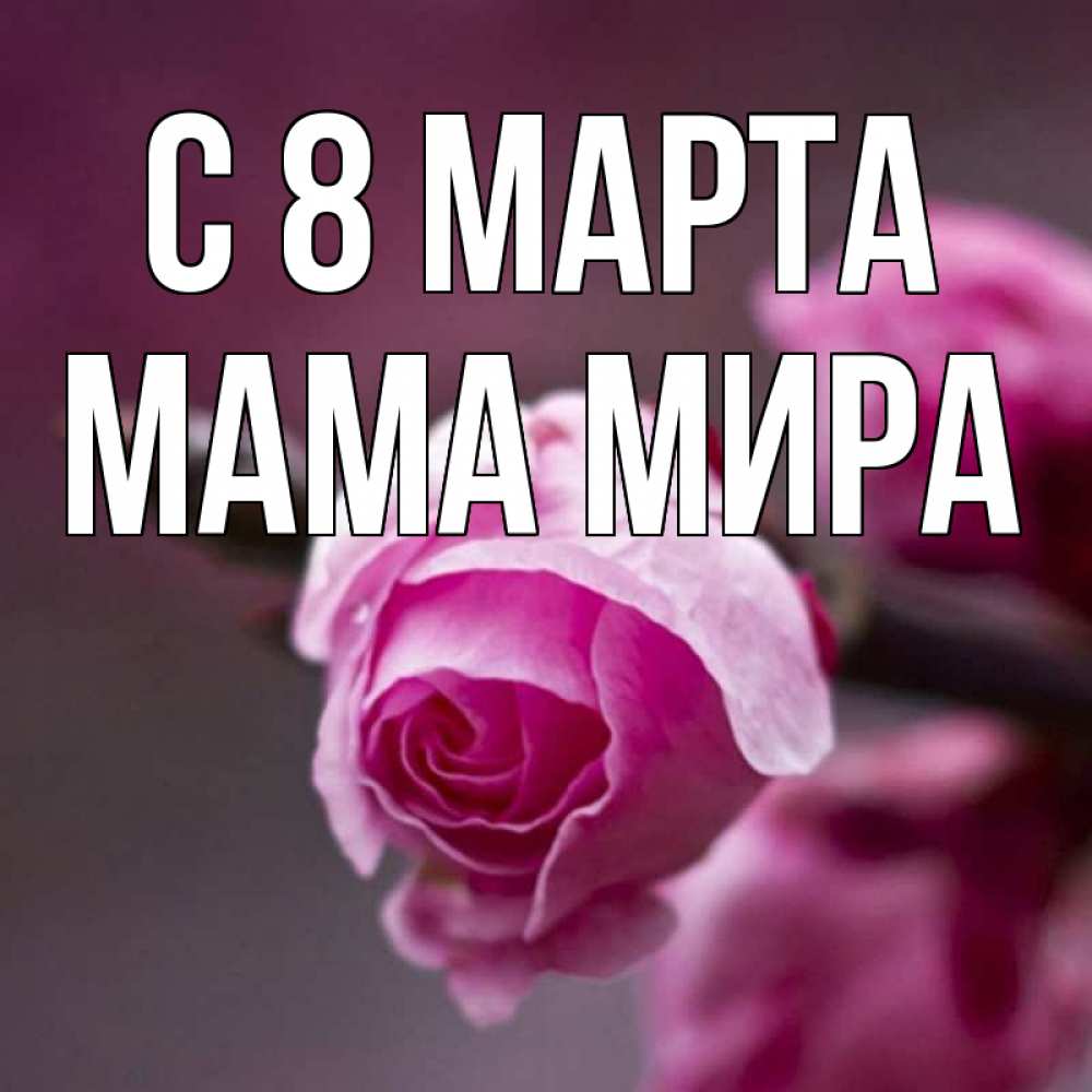 Открытка на каждый день с именем, Мама-Мира С 8 МАРТА весна Прикольная открытка с пожеланием онлайн скачать бесплатно 