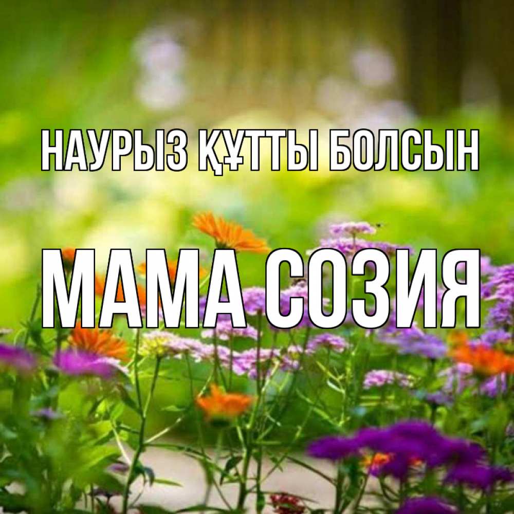 Открытка на каждый день с именем, Мама-Созия Наурыз құтты болсын цветы Прикольная открытка с пожеланием онлайн скачать бесплатно 