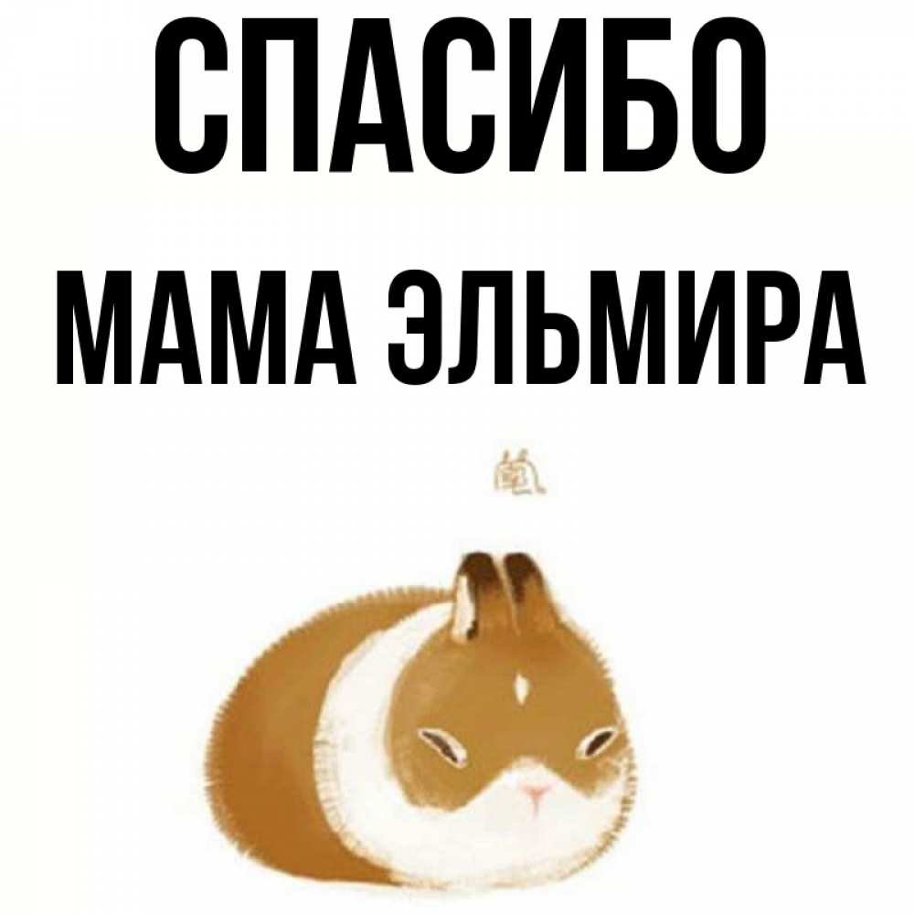 Открытка на каждый день с именем, Мама-Эльмира Спасибо коричнево белый домашний питомец Прикольная открытка с пожеланием онлайн скачать бесплатно 