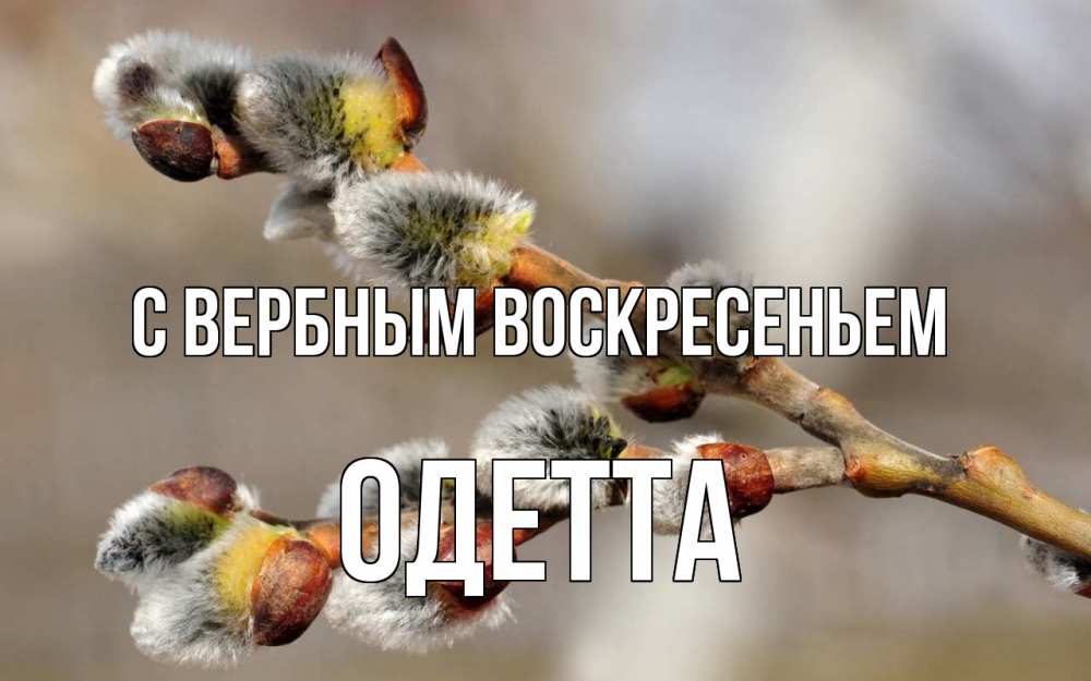 Открытка на каждый день с именем, Одетта С вербным воскресеньем Верба Прикольная открытка с пожеланием онлайн скачать бесплатно 