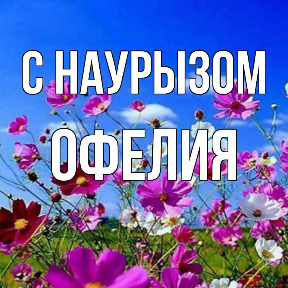 Открытка на каждый день с именем, Офелия С наурызом цветы Прикольная открытка с пожеланием онлайн скачать бесплатно 