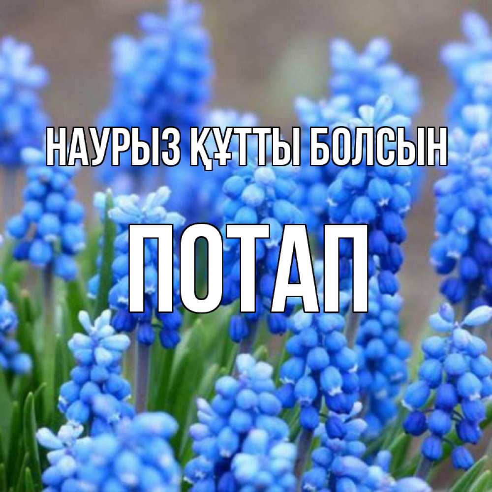 Открытка на каждый день с именем, Потап Наурыз құтты болсын Поздравительная открытка для женщин с цветами на праздничную дату Прикольная открытка с пожеланием онлайн скачать бесплатно 