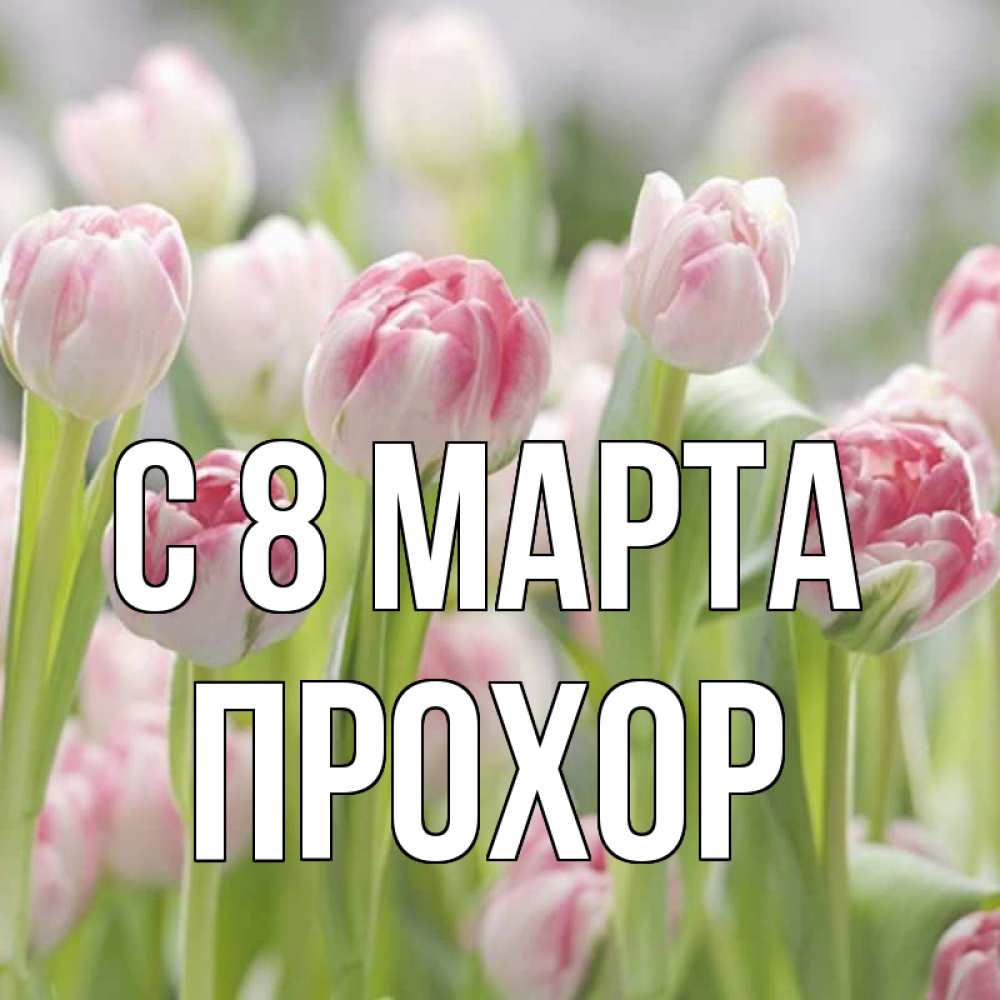 Открытка на каждый день с именем, Прохор С 8 марта цветы Прикольная открытка с пожеланием онлайн скачать бесплатно 