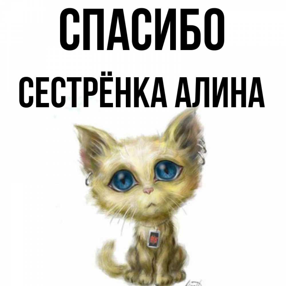 Открытка на каждый день с именем, Сестрёнка-Алина Спасибо рисованный кот благодарит вас Прикольная открытка с пожеланием онлайн скачать бесплатно 