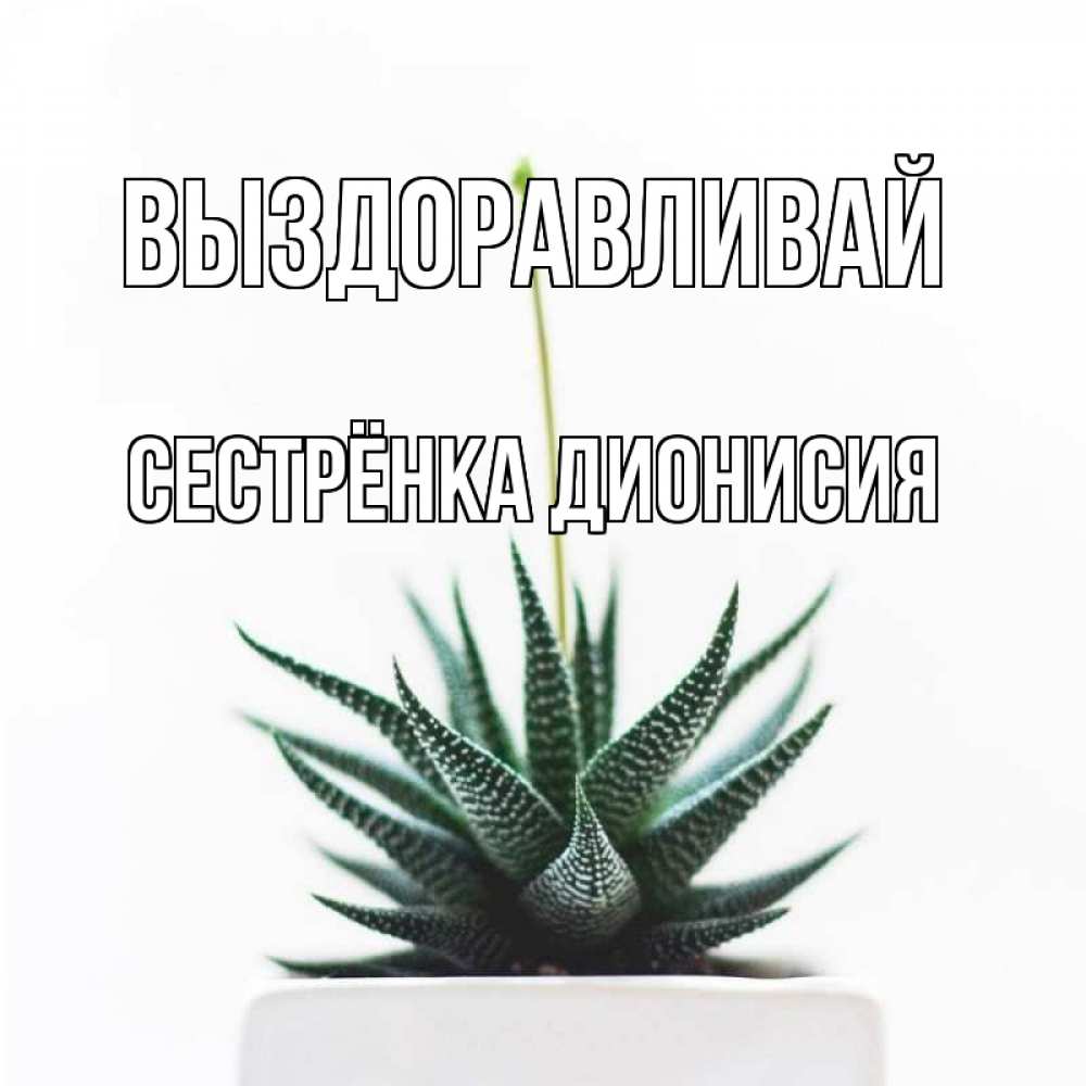 Открытка на каждый день с именем, Сестрёнка-Дионисия Выздоравливай короче это непонятная колючка Прикольная открытка с пожеланием онлайн скачать бесплатно 