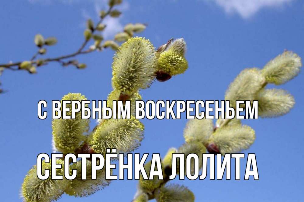 Открытка на каждый день с именем, Сестрёнка-Лолита С вербным воскресеньем верба Прикольная открытка с пожеланием онлайн скачать бесплатно 