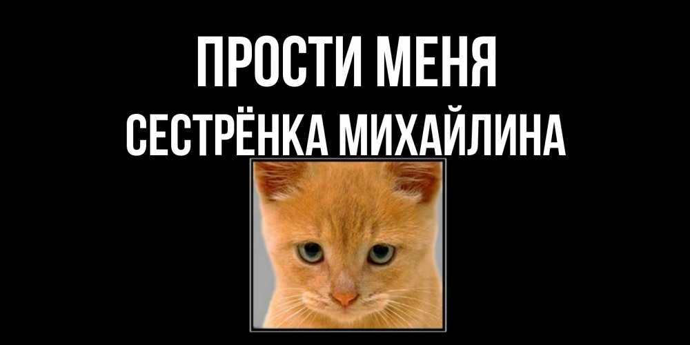 Открытка на каждый день с именем, Сестрёнка-Михайлина Прости меня рыжий грустный кот просит прощения Прикольная открытка с пожеланием онлайн скачать бесплатно 
