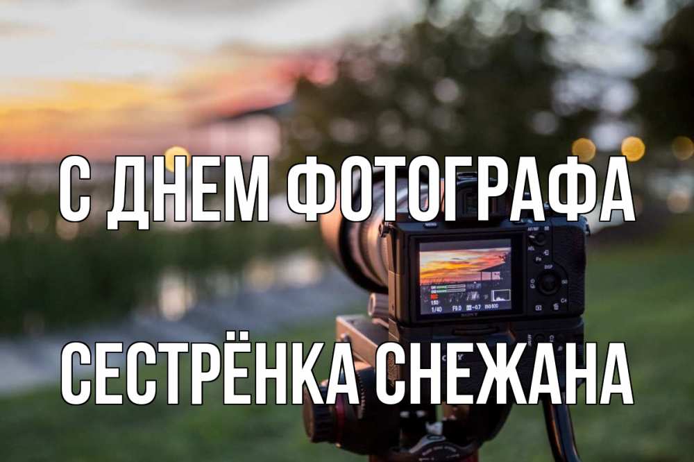 Открытка на каждый день с именем, Сестрёнка-Снежана С днем фотографа с днем фотографа Прикольная открытка с пожеланием онлайн скачать бесплатно 