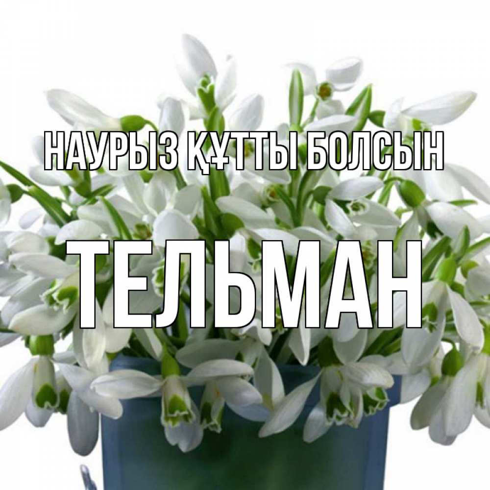 Открытка на каждый день с именем, Тельман Наурыз құтты болсын цветы к наурызу Прикольная открытка с пожеланием онлайн скачать бесплатно 