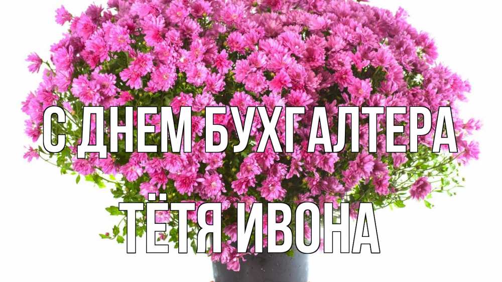 Открытка на каждый день с именем, Тётя-Ивона С днем бухгалтера с днем бухгалтера Прикольная открытка с пожеланием онлайн скачать бесплатно 