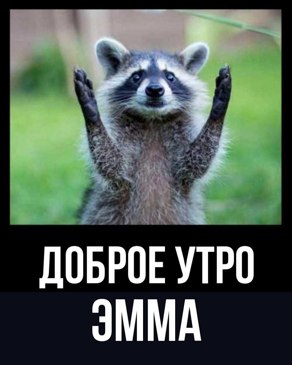 Открытка на каждый день с именем, Эмма Доброе утро хорошее настроение утречком Прикольная открытка с пожеланием онлайн скачать бесплатно 