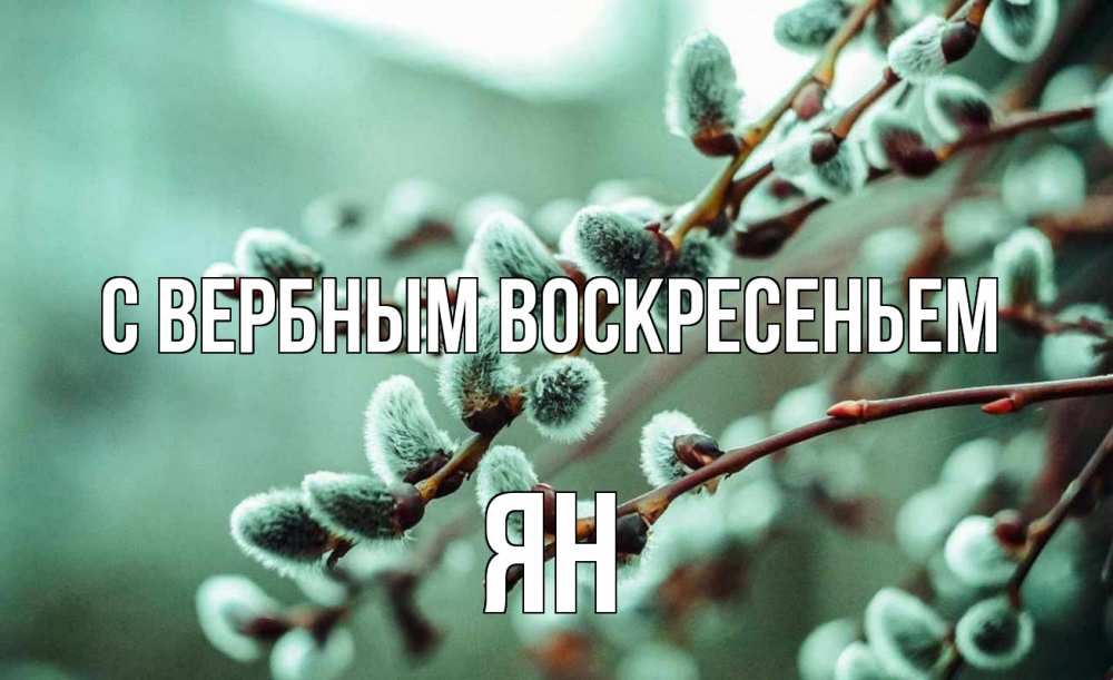 Открытка на каждый день с именем, Ян С вербным воскресеньем верба Прикольная открытка с пожеланием онлайн скачать бесплатно 