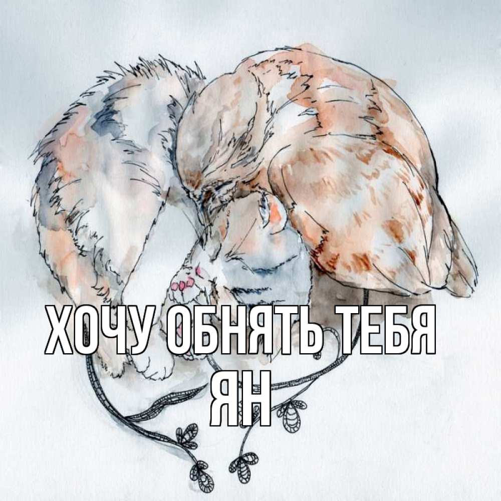 Открытка на каждый день с именем, Ян Хочу обнять тебя можно быть вместе даже когда очень разные Прикольная открытка с пожеланием онлайн скачать бесплатно 