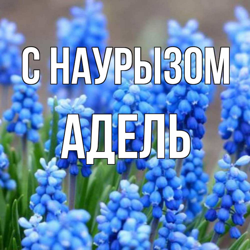 Открытка на каждый день с именем, Адель С наурызом Поздравительная открытка для женщин с цветами на праздничную дату Прикольная открытка с пожеланием онлайн скачать бесплатно 