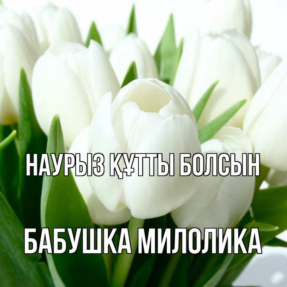 Открытка на каждый день с именем, Бабушка-Милолика Наурыз құтты болсын цветы Прикольная открытка с пожеланием онлайн скачать бесплатно 