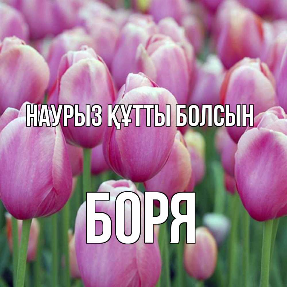 Открытка на каждый день с именем, Боря Наурыз құтты болсын на наурыз  день 3 Прикольная открытка с пожеланием онлайн скачать бесплатно 