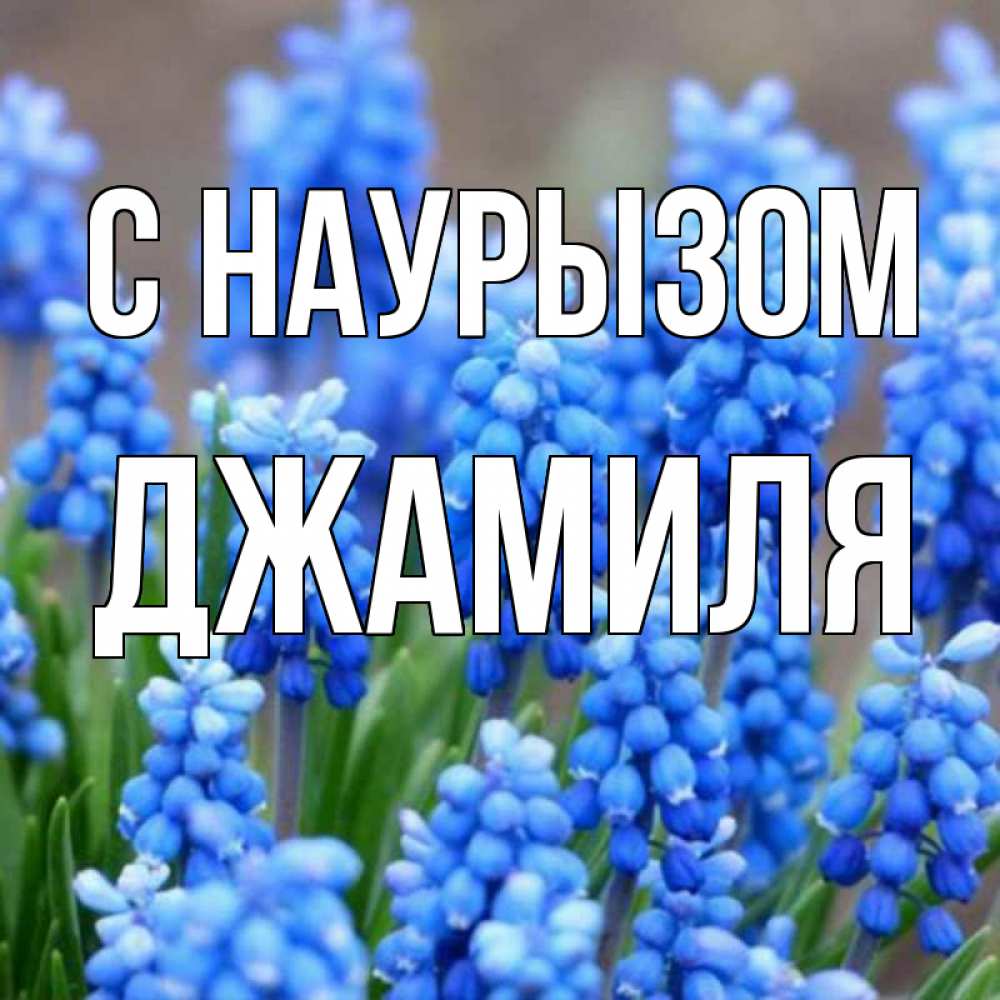 Открытка на каждый день с именем, Джамиля С наурызом Поздравительная открытка для женщин с цветами на праздничную дату Прикольная открытка с пожеланием онлайн скачать бесплатно 