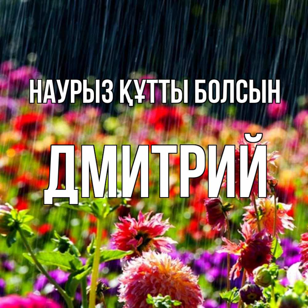 Открытка на каждый день с именем, Дмитрий Наурыз құтты болсын цветы под дождиком к наурызу Прикольная открытка с пожеланием онлайн скачать бесплатно 