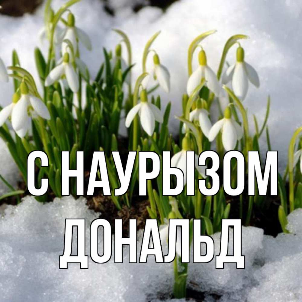 Открытка на каждый день с именем, Дональд С наурызом цветы весенние Прикольная открытка с пожеланием онлайн скачать бесплатно 