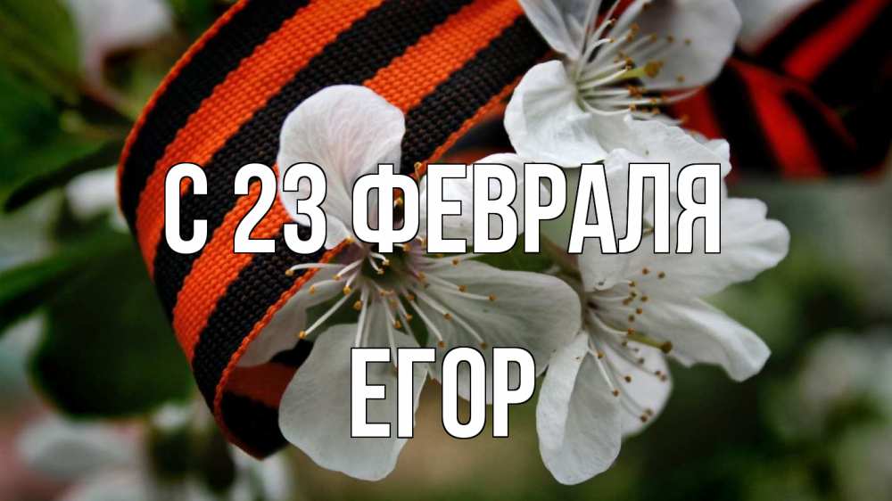 Открытка на каждый день с именем, Егор С 23 февраля 23 февраля Прикольная открытка с пожеланием онлайн скачать бесплатно 