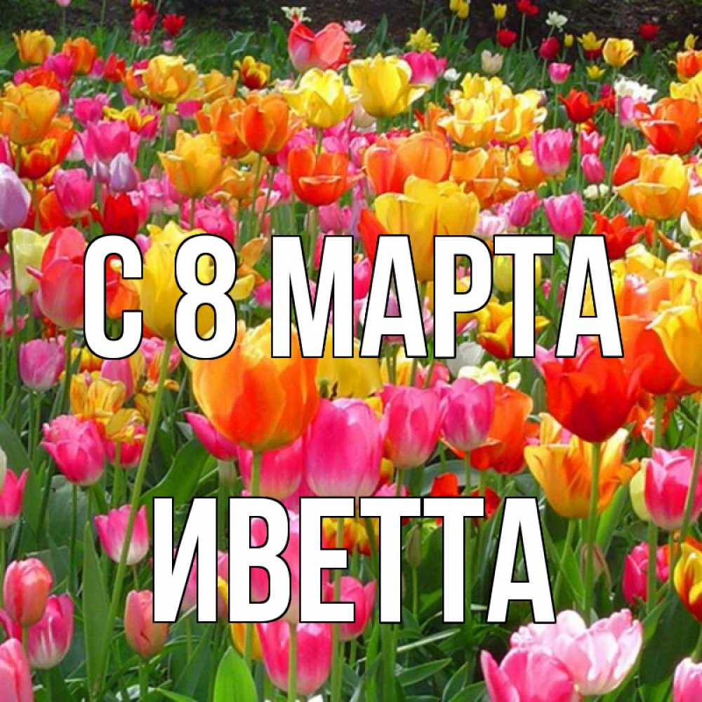 Открытка на каждый день с именем, Иветта С 8 МАРТА на международный женский день Прикольная открытка с пожеланием онлайн скачать бесплатно 