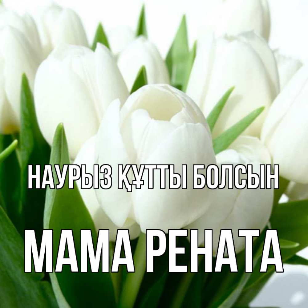 Открытка на каждый день с именем, Мама-Рената Наурыз құтты болсын цветы Прикольная открытка с пожеланием онлайн скачать бесплатно 