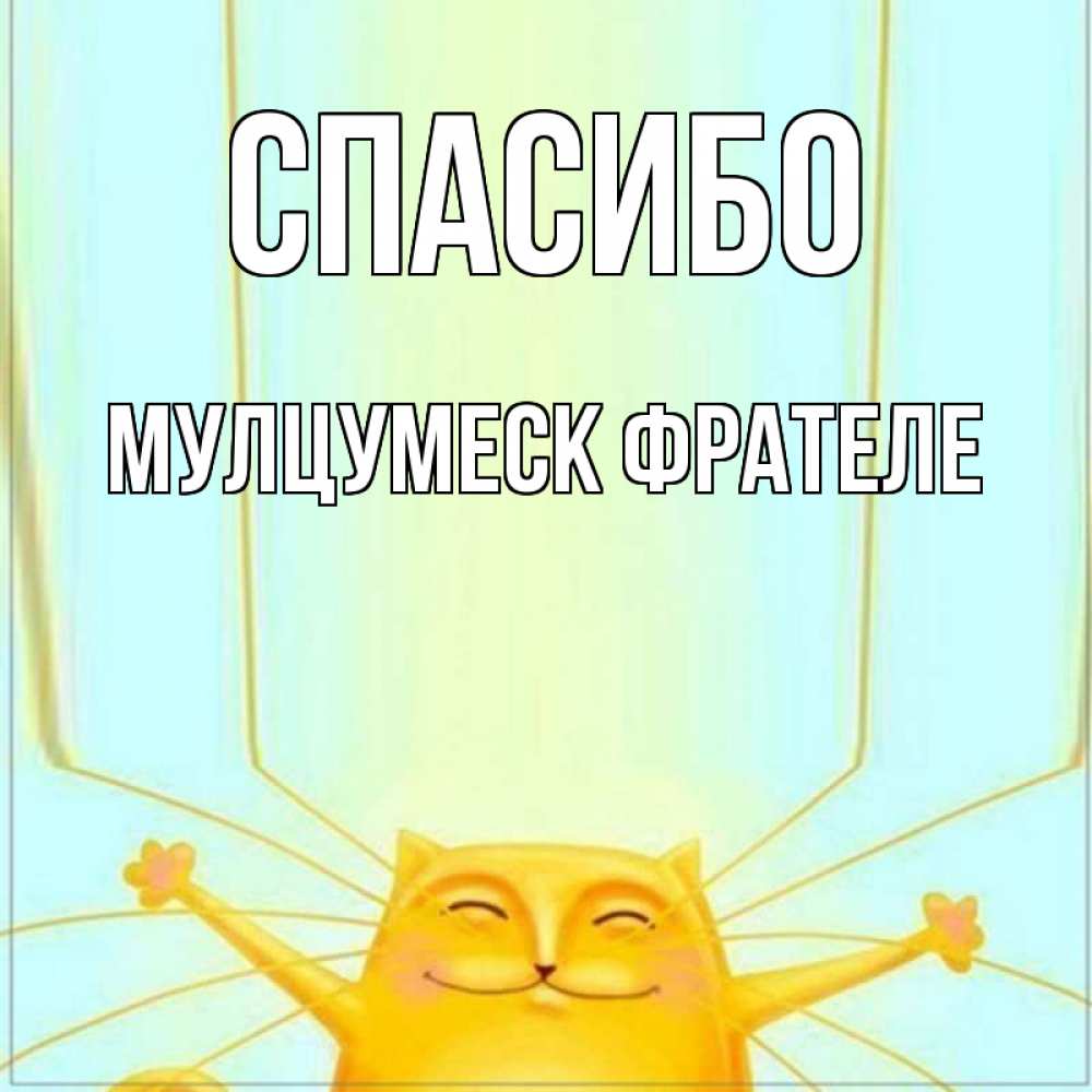 Открытка на каждый день с именем, Мулцумеск-фрателе Спасибо кот с усами благодарит Прикольная открытка с пожеланием онлайн скачать бесплатно 