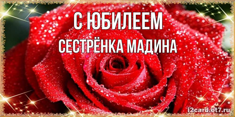 Открытка на каждый день с именем, Сестрёнка-Мадина С юбилеем роса и роза. открытка с красивой розой Прикольная открытка с пожеланием онлайн скачать бесплатно 