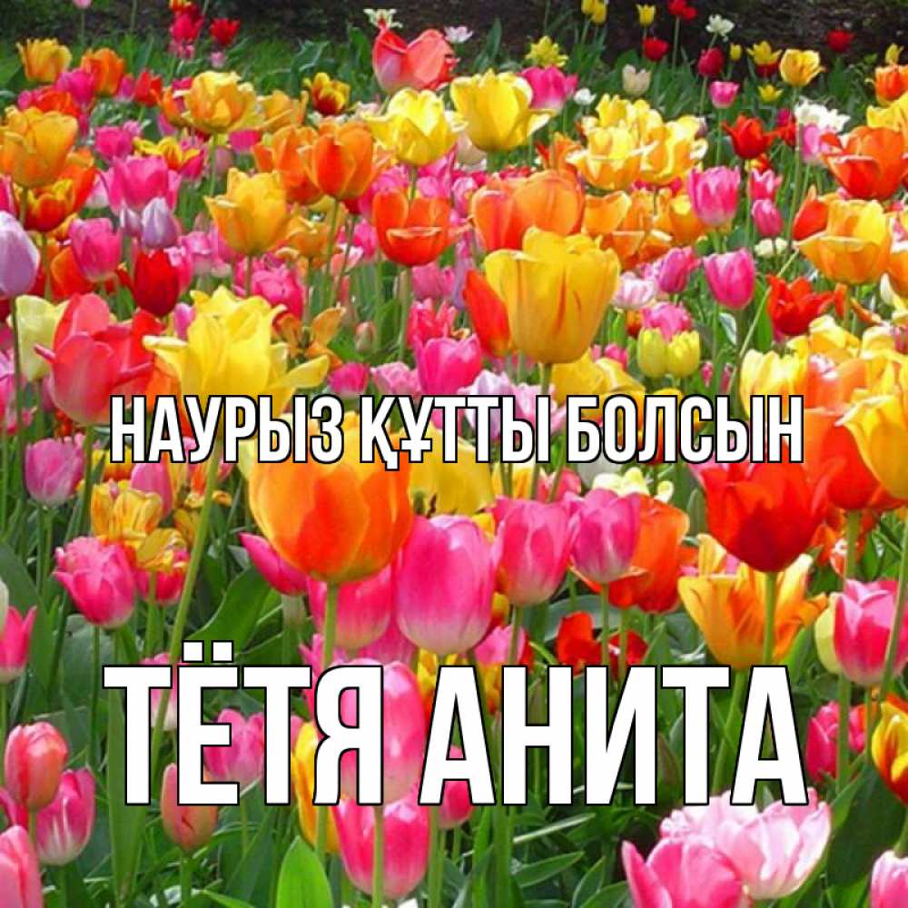 Открытка на каждый день с именем, Тётя-Анита Наурыз құтты болсын на наурыз  ура ура Прикольная открытка с пожеланием онлайн скачать бесплатно 