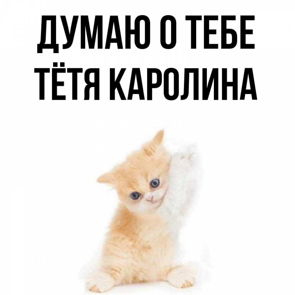 Открытка на каждый день с именем, Тётя-Каролина Думаю о тебе зверушки и милота Прикольная открытка с пожеланием онлайн скачать бесплатно 