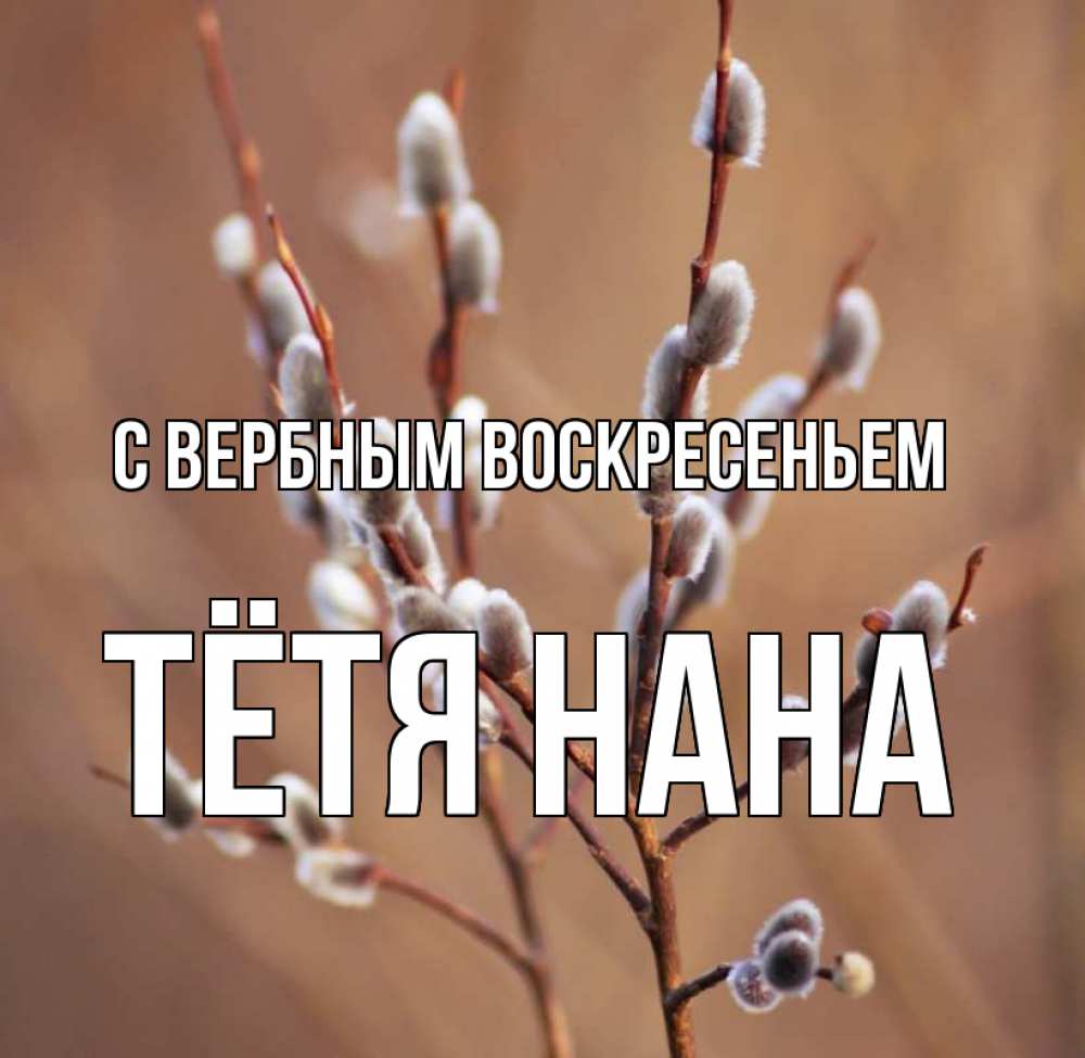 Открытка на каждый день с именем, Тётя-Нана С вербным воскресеньем верба Прикольная открытка с пожеланием онлайн скачать бесплатно 