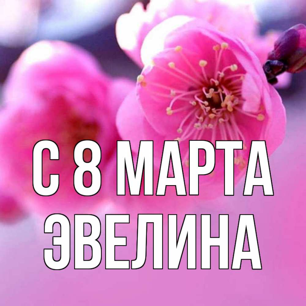 Открытка на каждый день с именем, Эвелина С 8 МАРТА международный женский день Прикольная открытка с пожеланием онлайн скачать бесплатно 