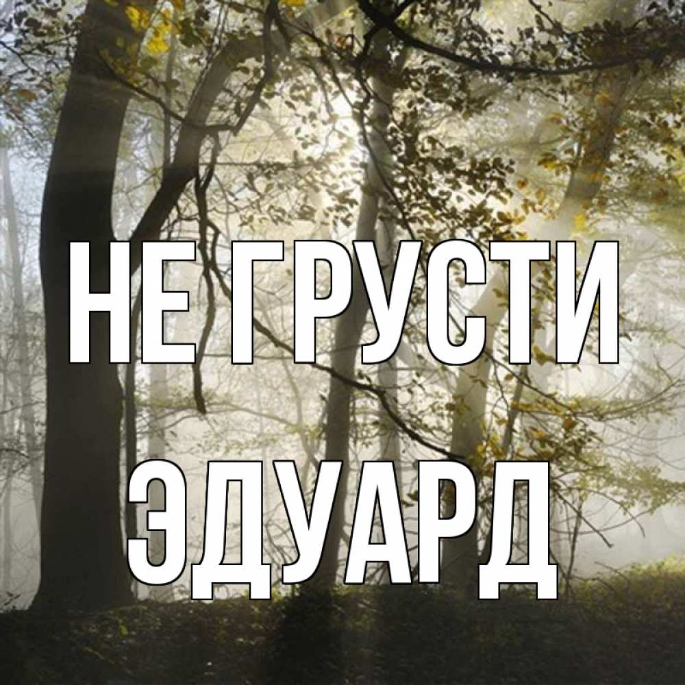 Открытка на каждый день с именем, Эдуард Не грусти лес и свет Прикольная открытка с пожеланием онлайн скачать бесплатно 