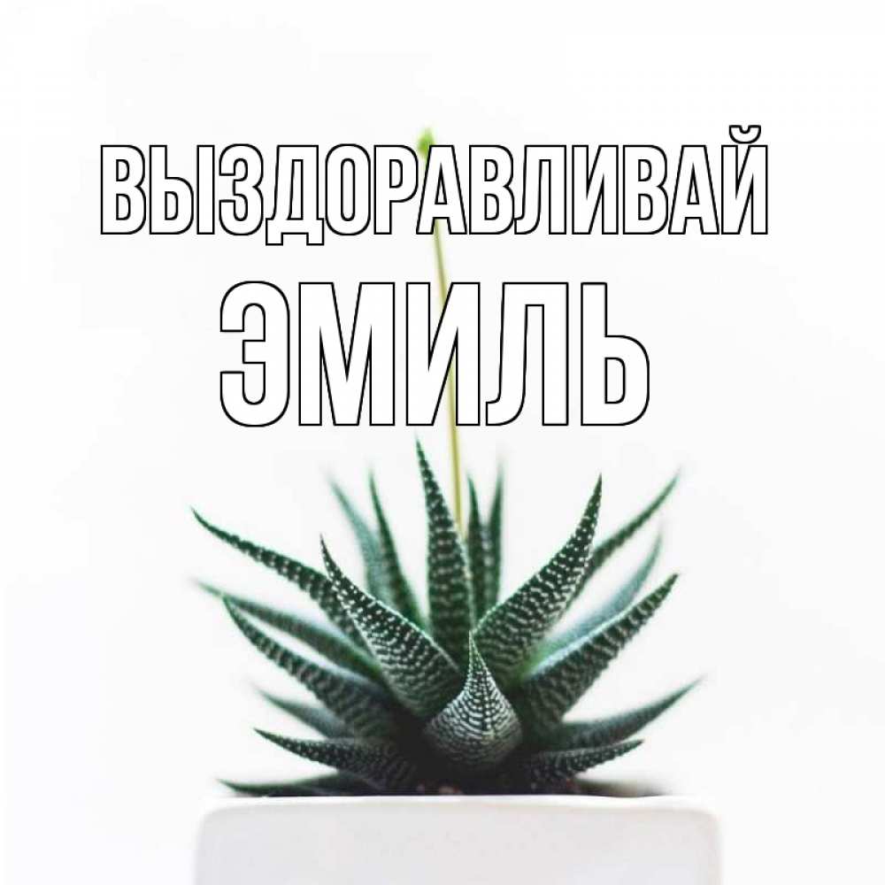 Открытка на каждый день с именем, Эмиль Выздоравливай короче это непонятная колючка Прикольная открытка с пожеланием онлайн скачать бесплатно 