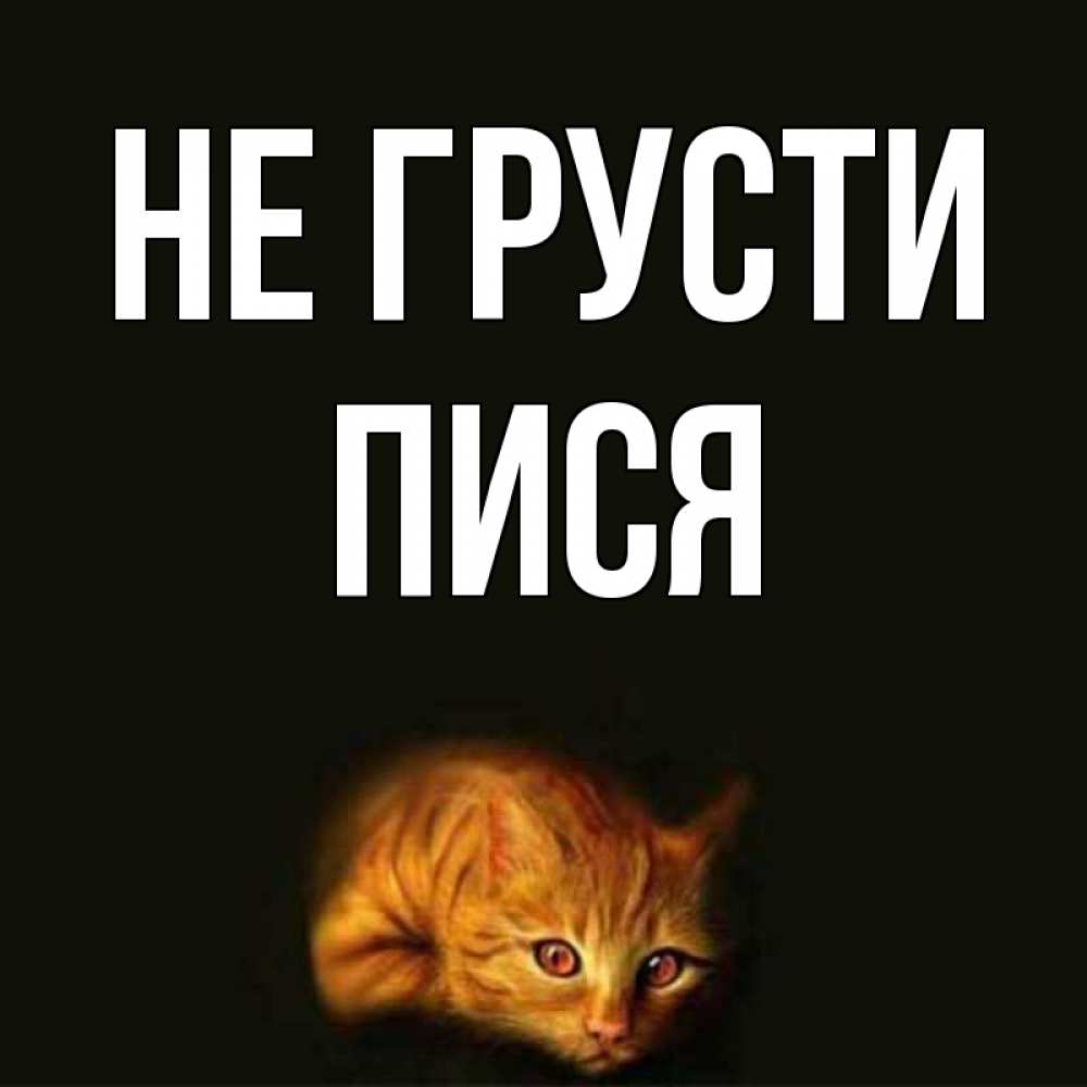 Открытка на каждый день с именем, пися Не грусти лежащий кот в темноте Прикольная открытка с пожеланием онлайн скачать бесплатно 