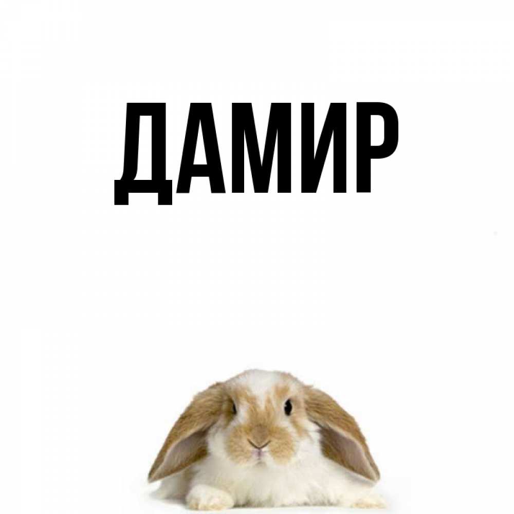 Где можно, открытки дамиру