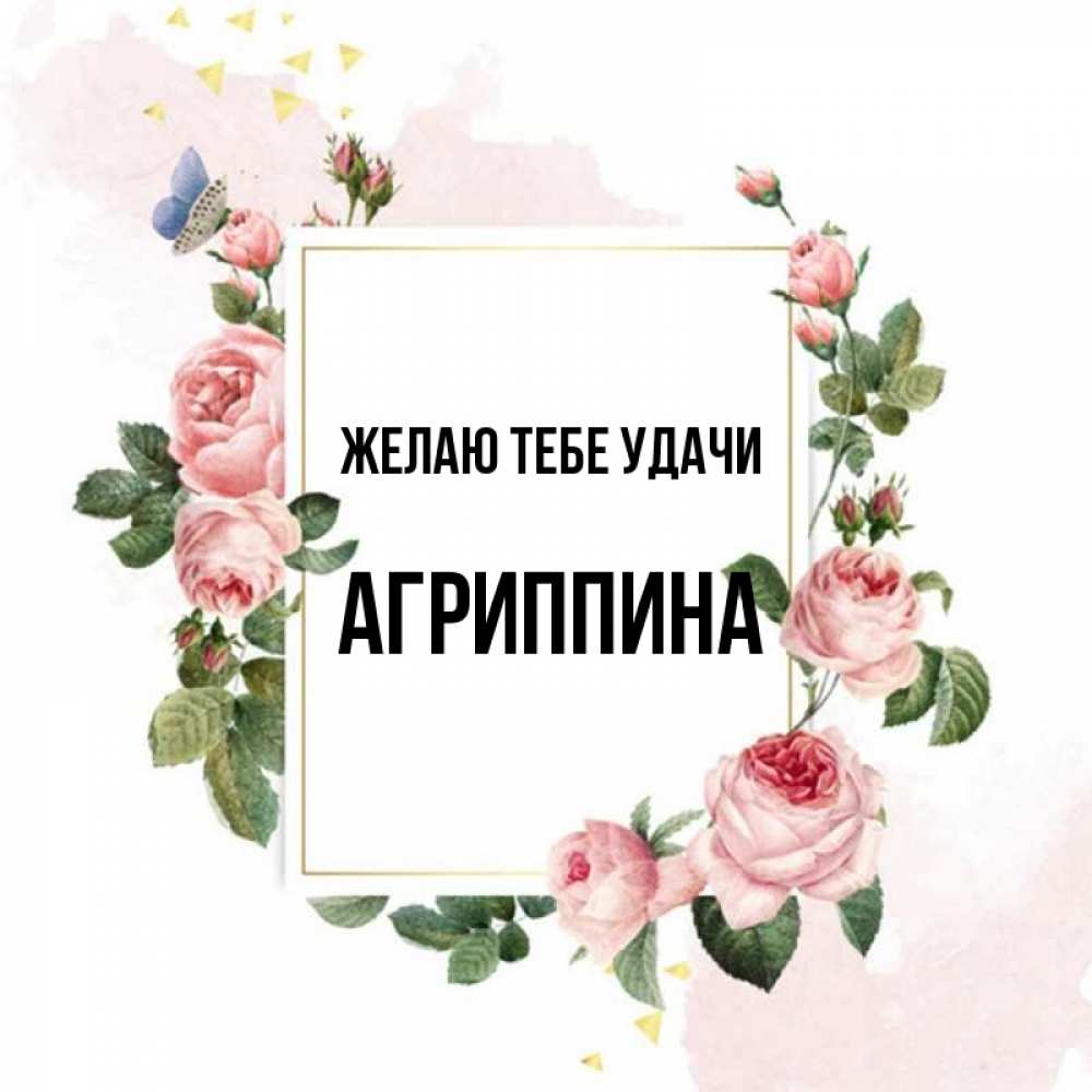 Открытка на каждый день с именем, Агриппина Желаю тебе удачи розовые розы Прикольная открытка с пожеланием онлайн скачать бесплатно 