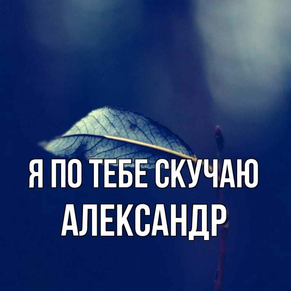 Открытка на каждый день с именем, Александр Я по тебе скучаю одна ветка 1 Прикольная открытка с пожеланием онлайн скачать бесплатно 