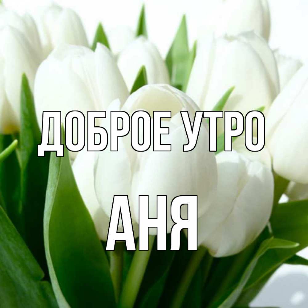 Открытка на каждый день с именем, Аня Доброе утро открытки на каждый день по именам Прикольная открытка с пожеланием онлайн скачать бесплатно 