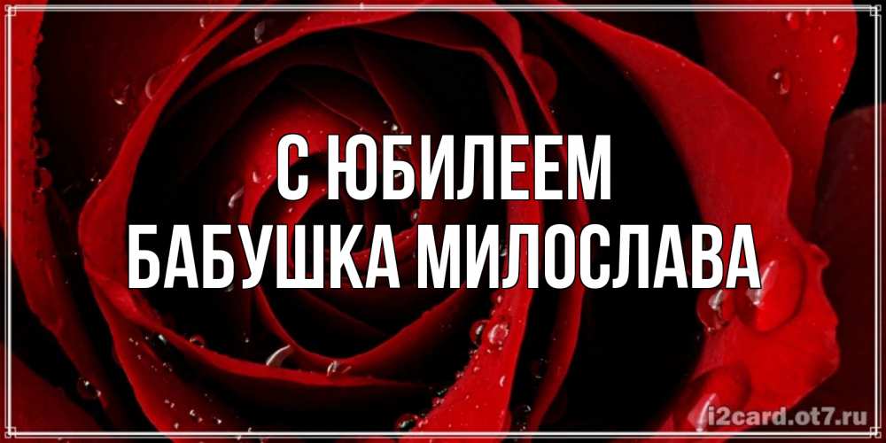 Открытка на каждый день с именем, Бабушка-Милослава С юбилеем крупная бордовая роза Прикольная открытка с пожеланием онлайн скачать бесплатно 