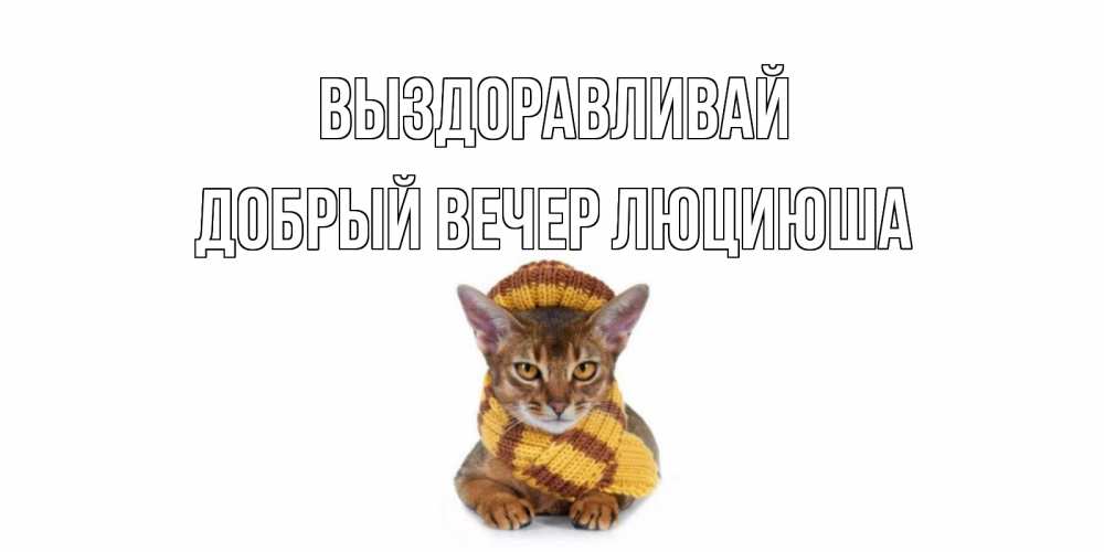 Открытка на каждый день с именем, Добрый-вечер-Люциюша Выздоравливай родные не болейте Прикольная открытка с пожеланием онлайн скачать бесплатно 
