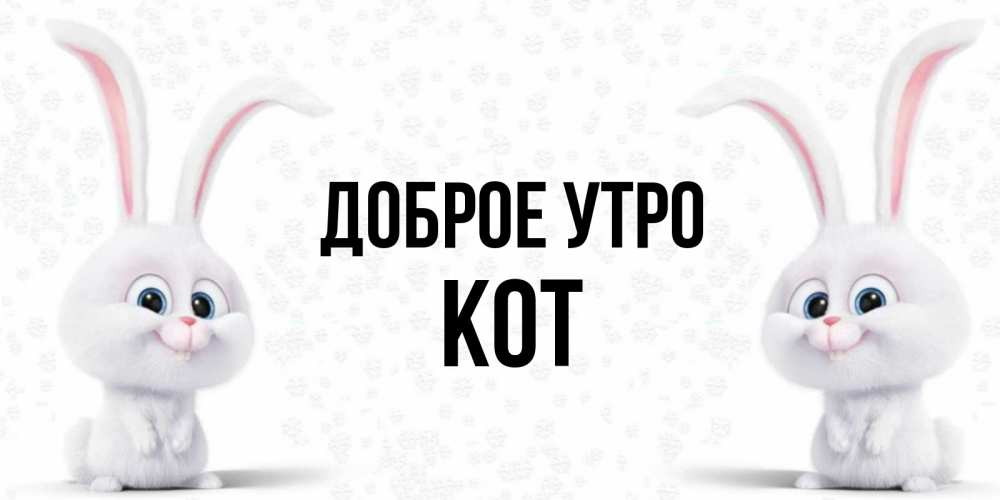 Открытка на каждый день с именем, Кот Доброе утро кролики с длинными ушками Прикольная открытка с пожеланием онлайн скачать бесплатно 