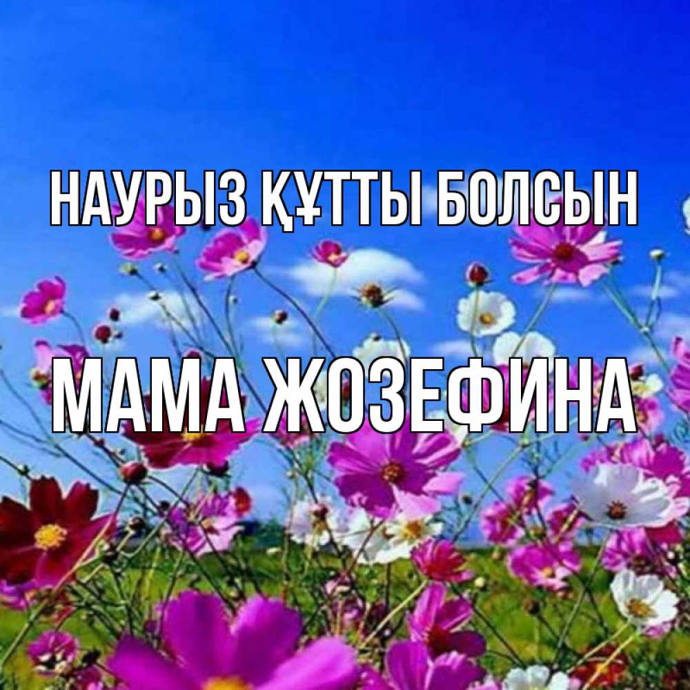 Открытка на каждый день с именем, Мама-Жозефина Наурыз құтты болсын цветы Прикольная открытка с пожеланием онлайн скачать бесплатно 