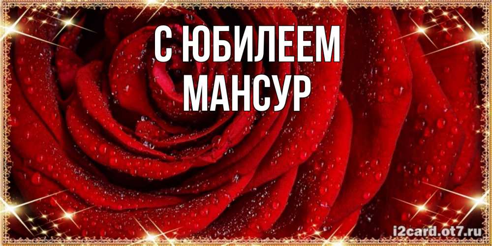 Открытка на каждый день с именем, Мансур С юбилеем роса на розе блестящая в лучах солнца Прикольная открытка с пожеланием онлайн скачать бесплатно 